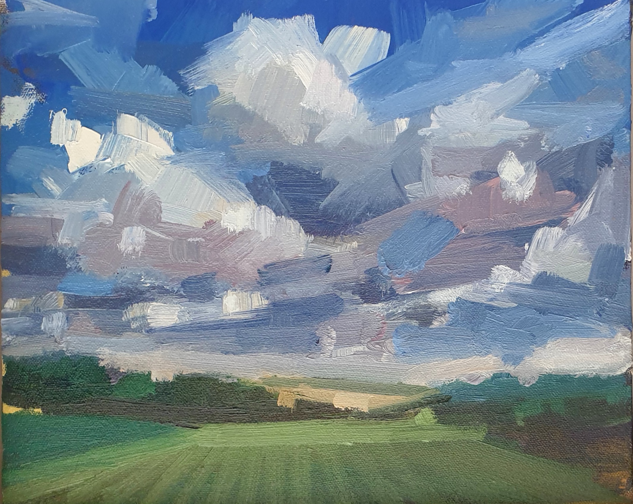 Schilderen met olieverf: portret, stilleven & landschap (ENG/NL) - Afbeelding 4