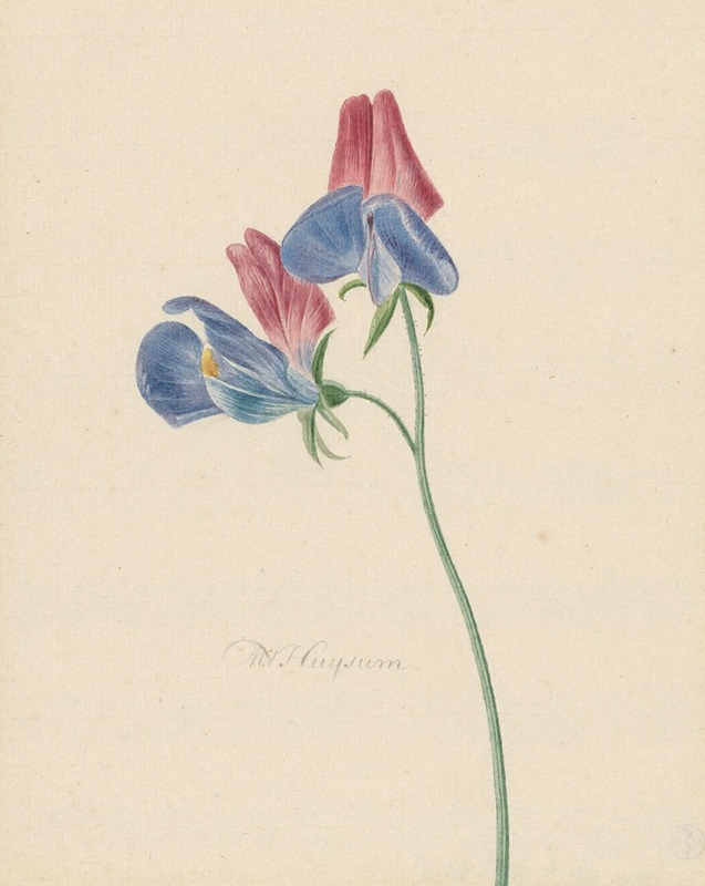 Botanisch met aquarel - Afbeelding 2