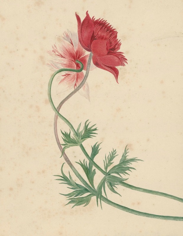 Botanisch met aquarel - Afbeelding 3