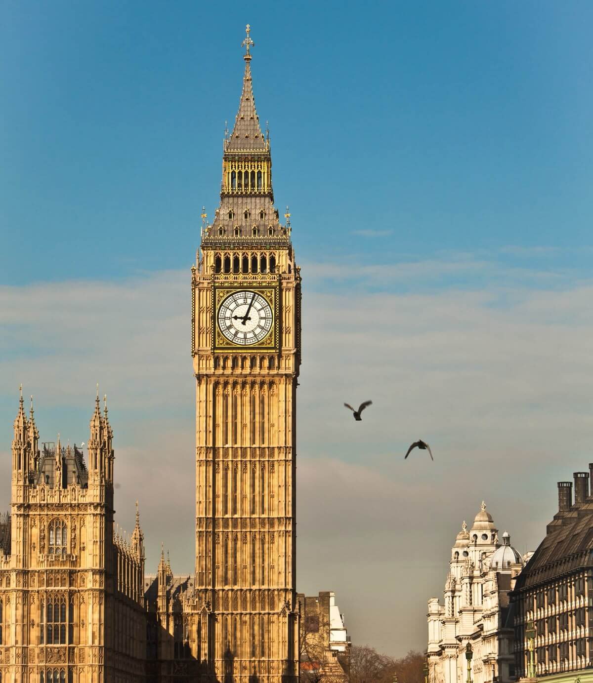 Studiereis naar Londen - Afbeelding 2